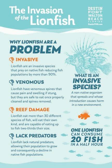 Infographic: The Invasion of the Lionfish, covering invasive status, venom, reef damage, and lack of predators