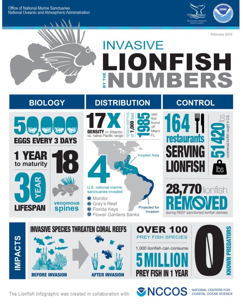 NOAA infographic: Invasive Lionfish by the Numbers, covering biology, distribution, control, and reef impacts