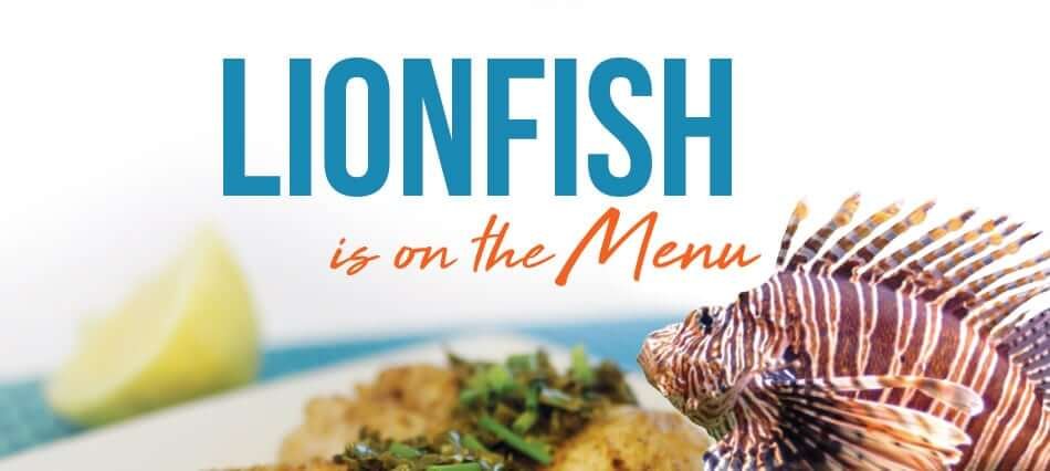 Lionfish is on the menu, plated with herbs beside a lionfish
